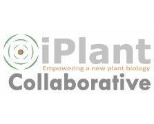 iPlant logo