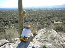 2004, Arizona
