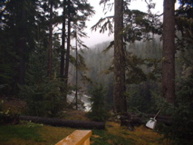 2002, Summer, Sequoia NP