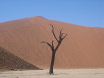 2007, Africa, Namibia