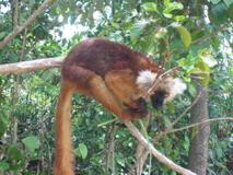 2006, Africa, Madagascar