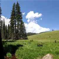 Mt Baldy Wilderness