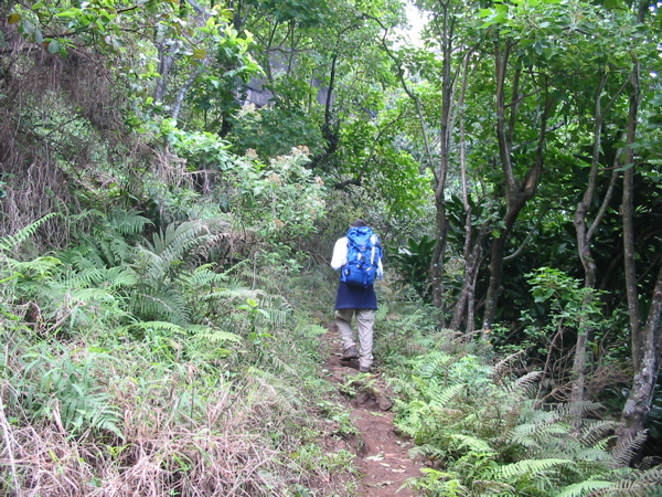 Kauai2005 064