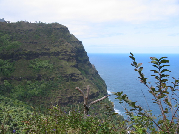Kauai2005 065