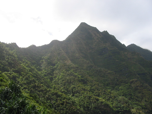 Kauai2005 066