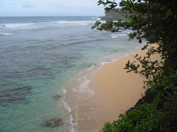 Kauai2005 141